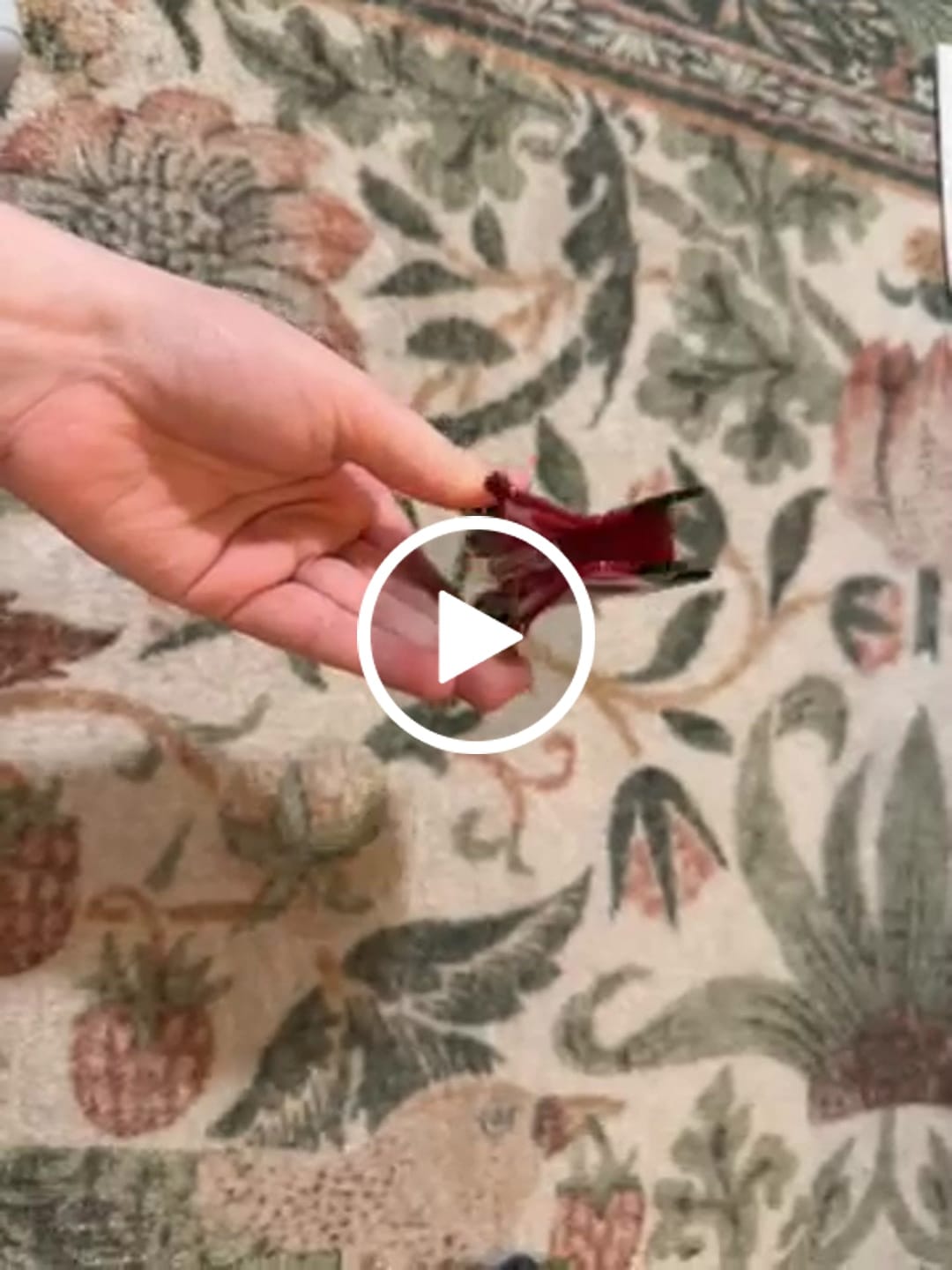 Customer video review of Large Pomegranate Hair Claw Clip