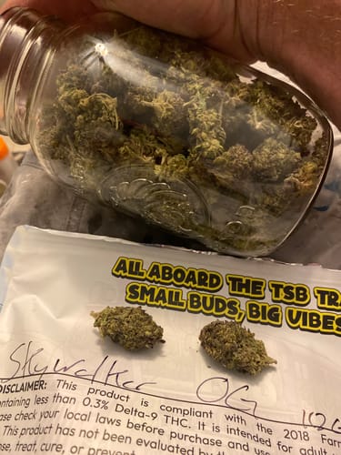 Customer photo review of Skywalker OG THCA Flower