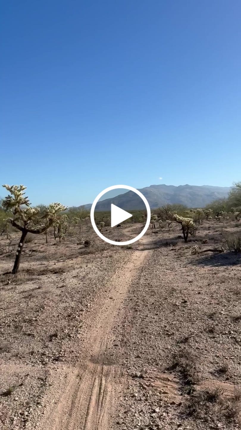 Customer video review of Acedeck® Nyx Z3 Off-road Electric Skateboard
