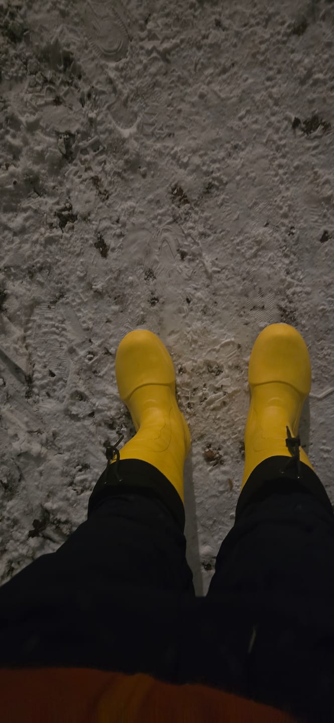 Customer photo review of NISEKO 3.0