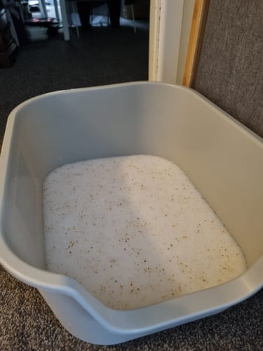 Customer photo review of Fit Litter