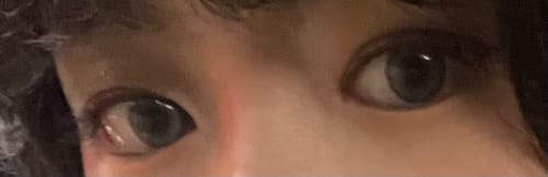 Customer photo review of Born to be Kristin Monthly Gray