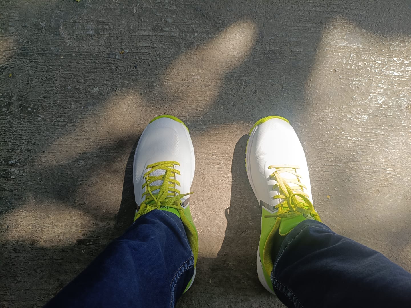 Customer photo review of Bacca Bucci Centurion Glide