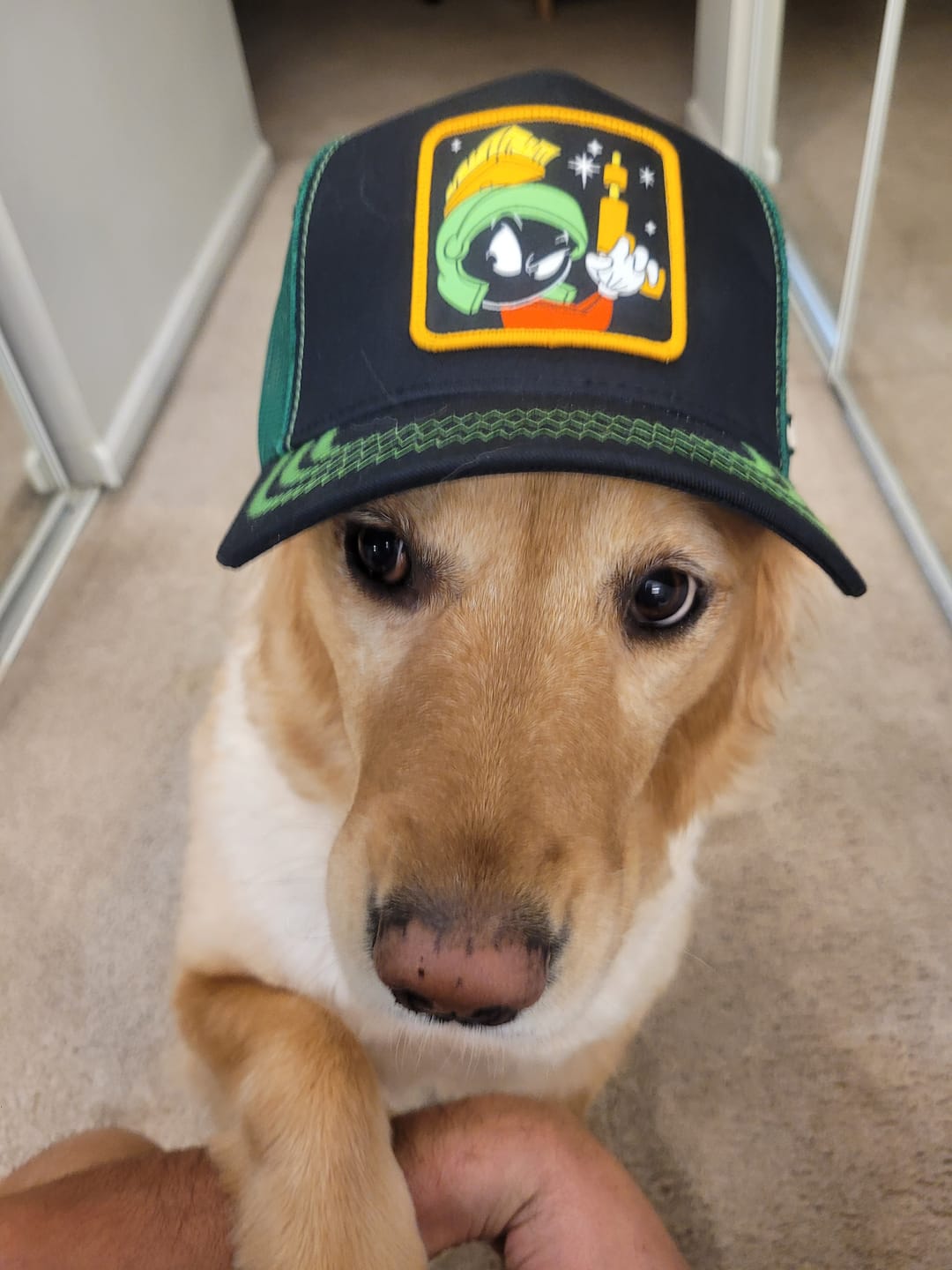 Customer photo review of OVERLORD X Looney Tunes: Marvin the Martian Trucker Cap
