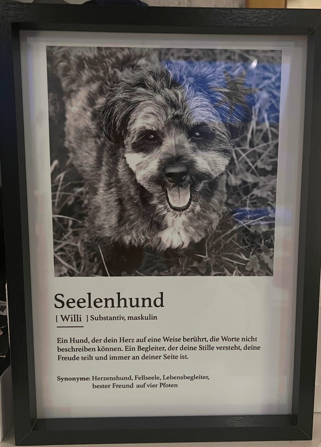 Customer photo review of Definition Seelentier - Individuelles Poster