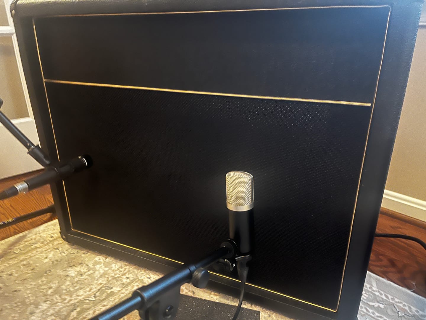 Customer photo review of Cab Mic - Guitar Microphone
