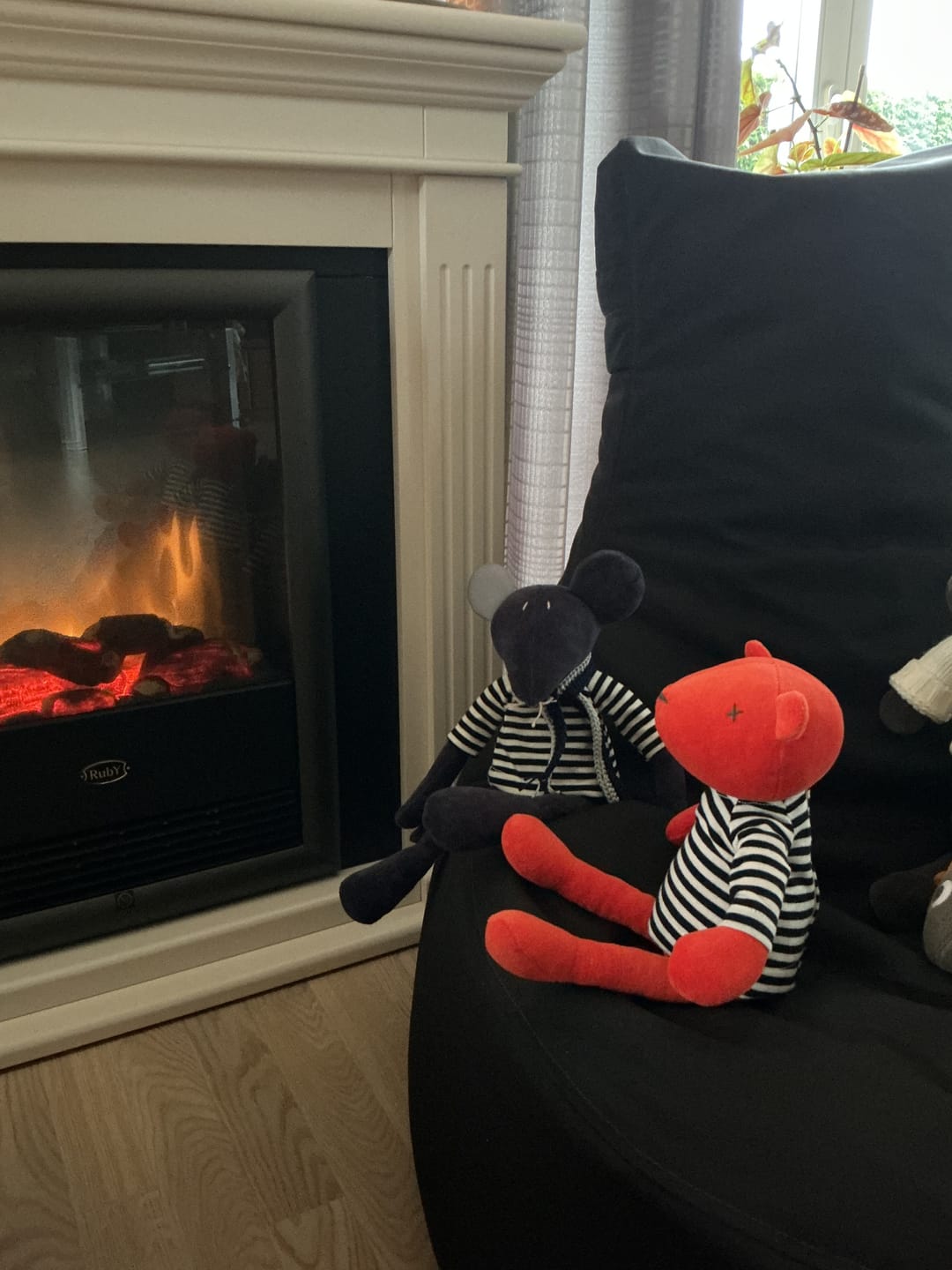 Customer photo review of HECTOR LE RAT - M