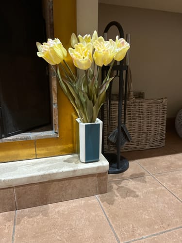 Customer photo review of Tulipes Automne - Blanc