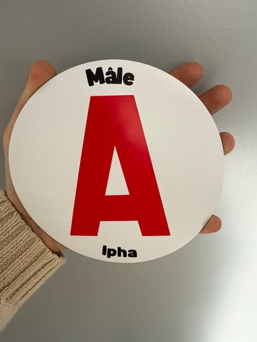 Customer photo review of Disque A Personnalisé – Autocollant Magnétique