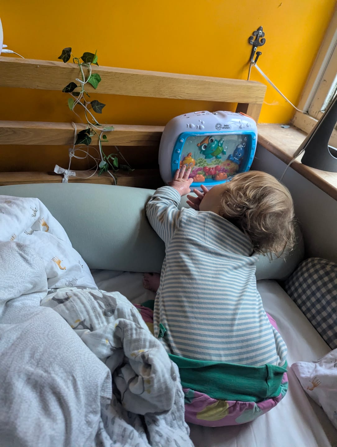 Customer photo review of Powder Blue Easy Feeding Adaptive Bodysuit