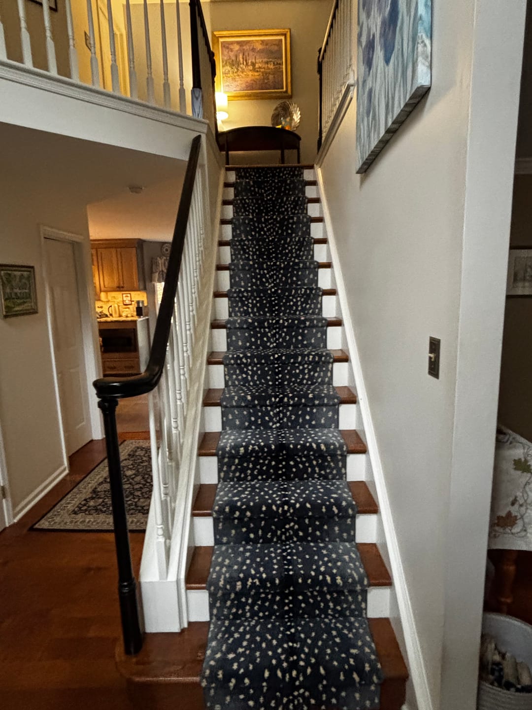 Customer photo review of Cape Town Antelope Stair Runner / Broadloom