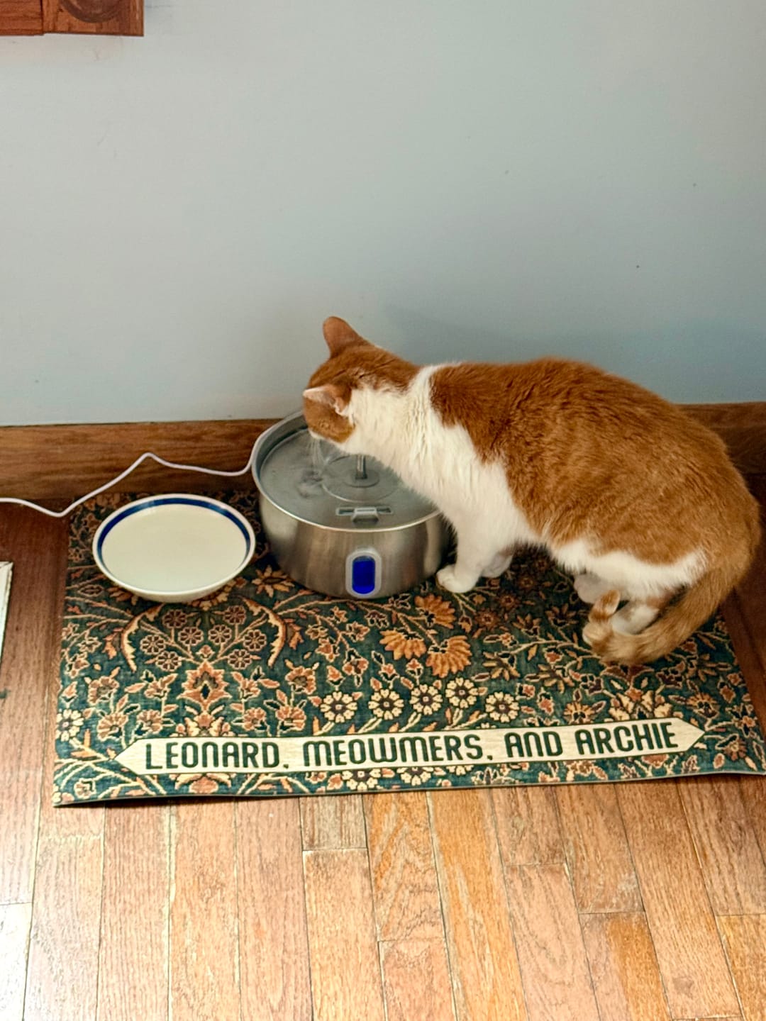 Customer photo review of Dog Bowl Mat, Nonslip, Machine Washable - Irene // Personalization: Leonard, Meowmers, and Archie