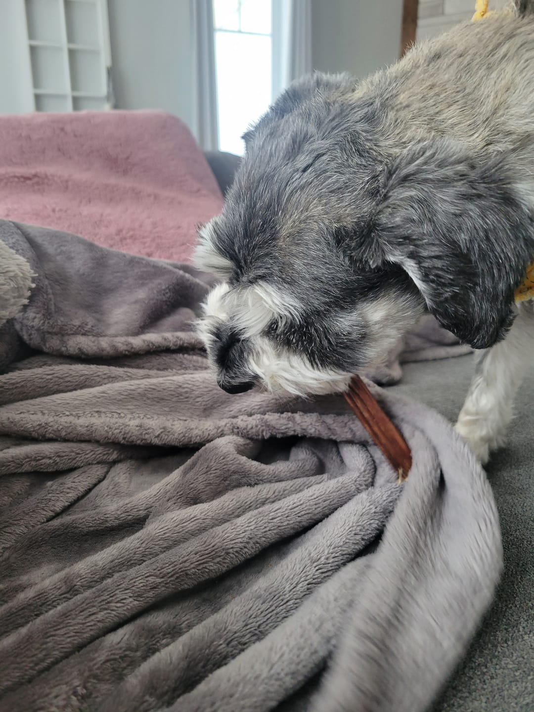 Customer photo review of 6 Inch Beef Jerky Stick