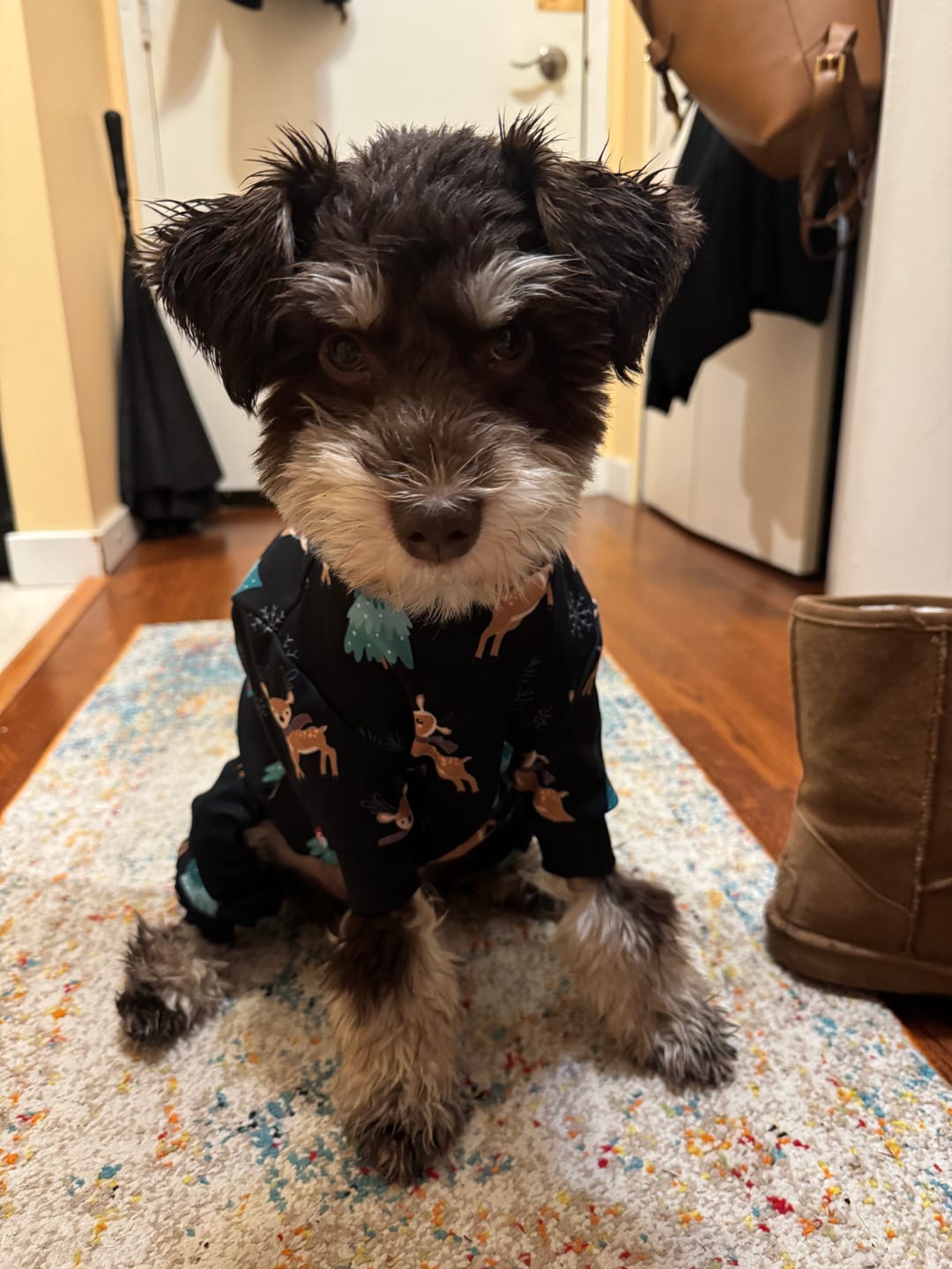 Customer photo review of Dog Christmas Pajama - Reindeers