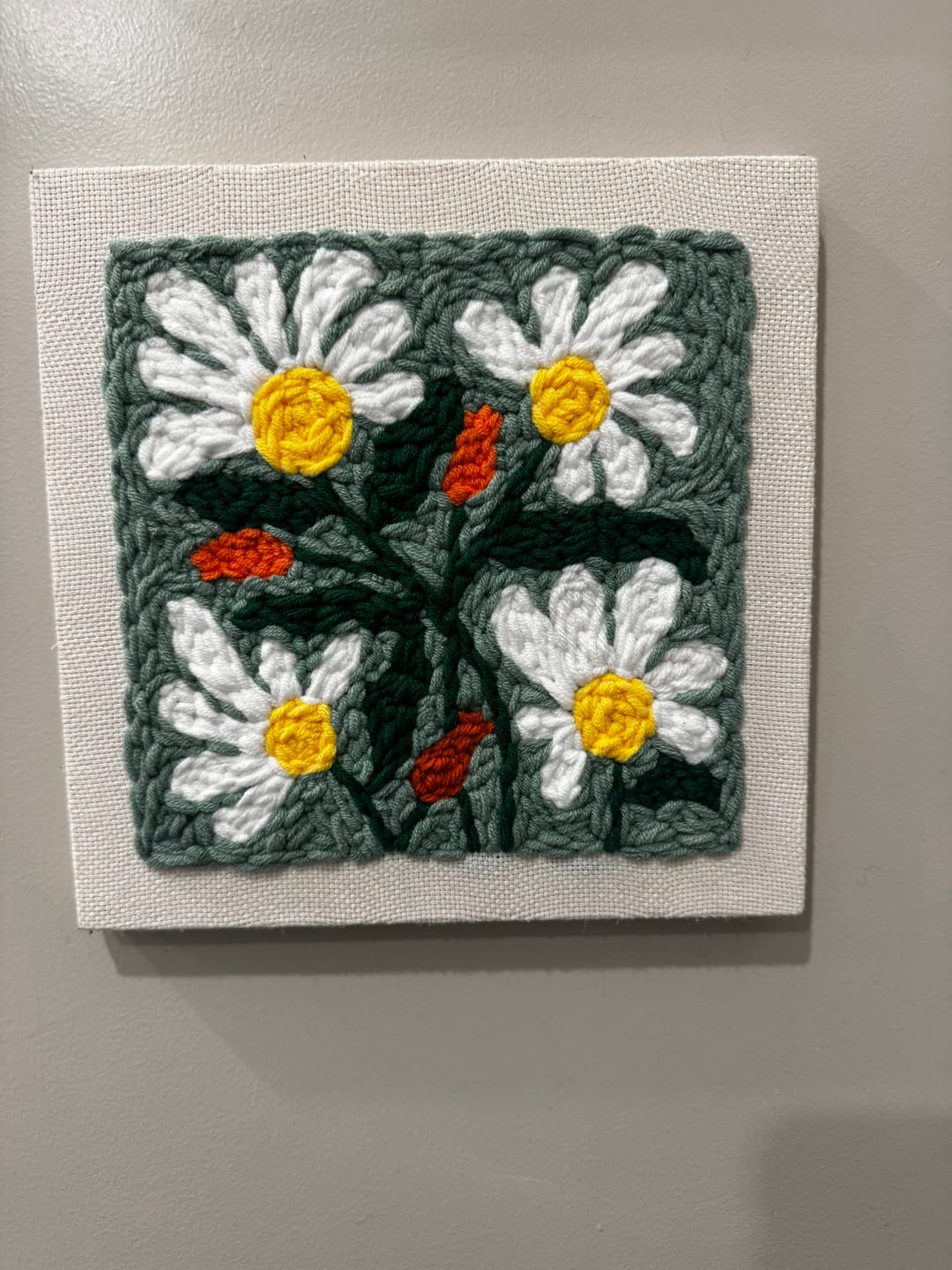Customer photo review of Daisy Meadow