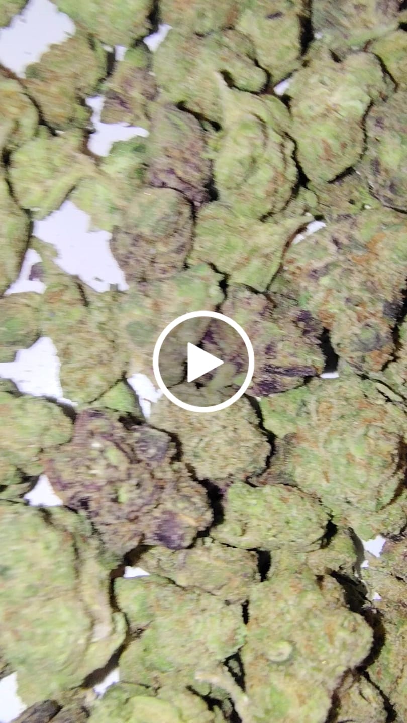 Customer video review of Indoor Micros