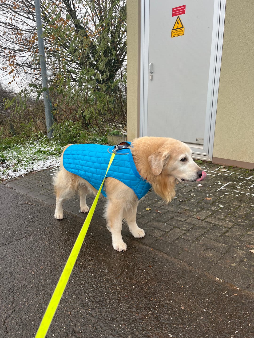 Customer photo review of Emmalove - Wasserdichte Hundeweste