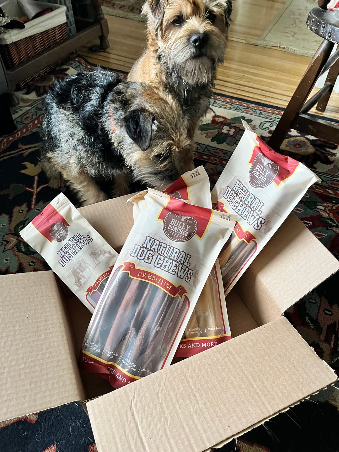 Customer photo review of 10-12 Inch Champion Chew