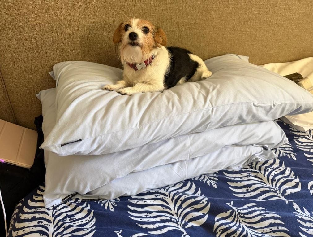 Customer photo review of Pillowcase Set