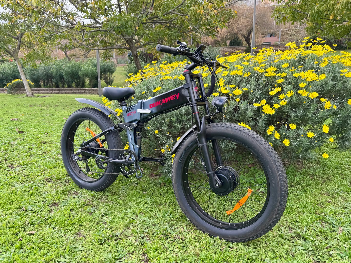 Customer photo review of Dukawey BST-6
