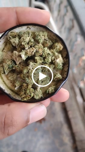Customer video review of Greenhouse Smalls