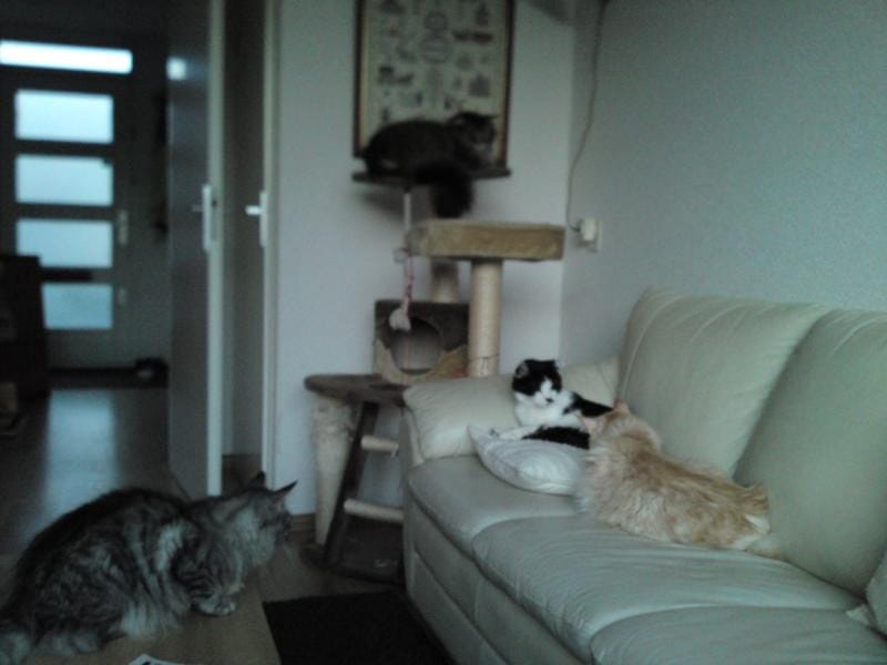 Customer photo review of 3D kerstkaarten II | 8 stuks