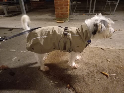 Customer photo review of Trixie - Hundejakke, Sand