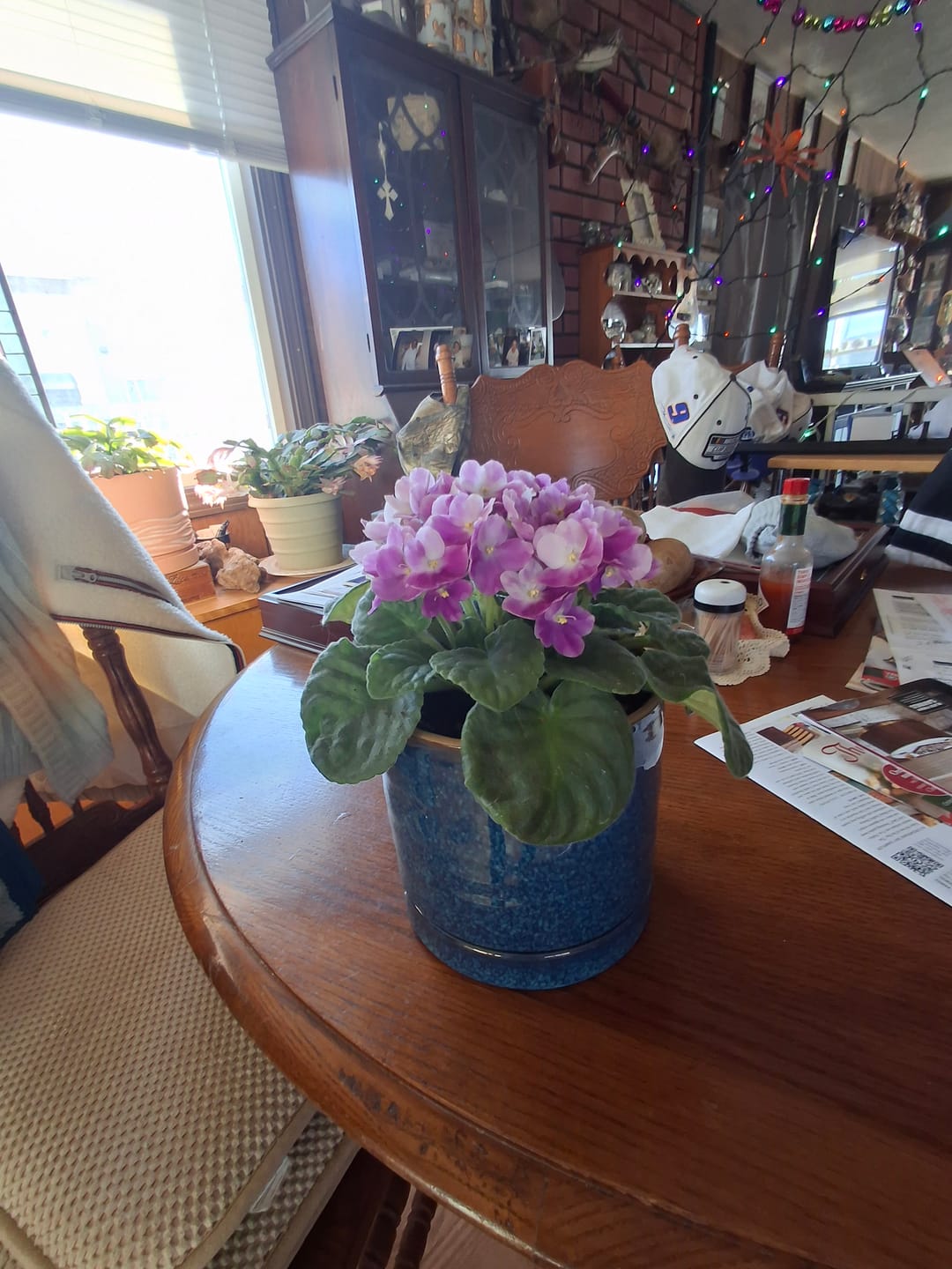 Customer photo review of African Violet in 4" Grow Pot Set - Indoor Flower Plant - Plant Lover Gift - White, Pink, Violet Live Flower Plant - Blooms All Year Round