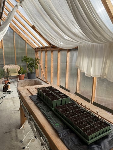 Customer photo review of Seed Starting Kit