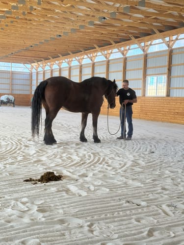 Customer photo review of Max Calm » up to 22% Off