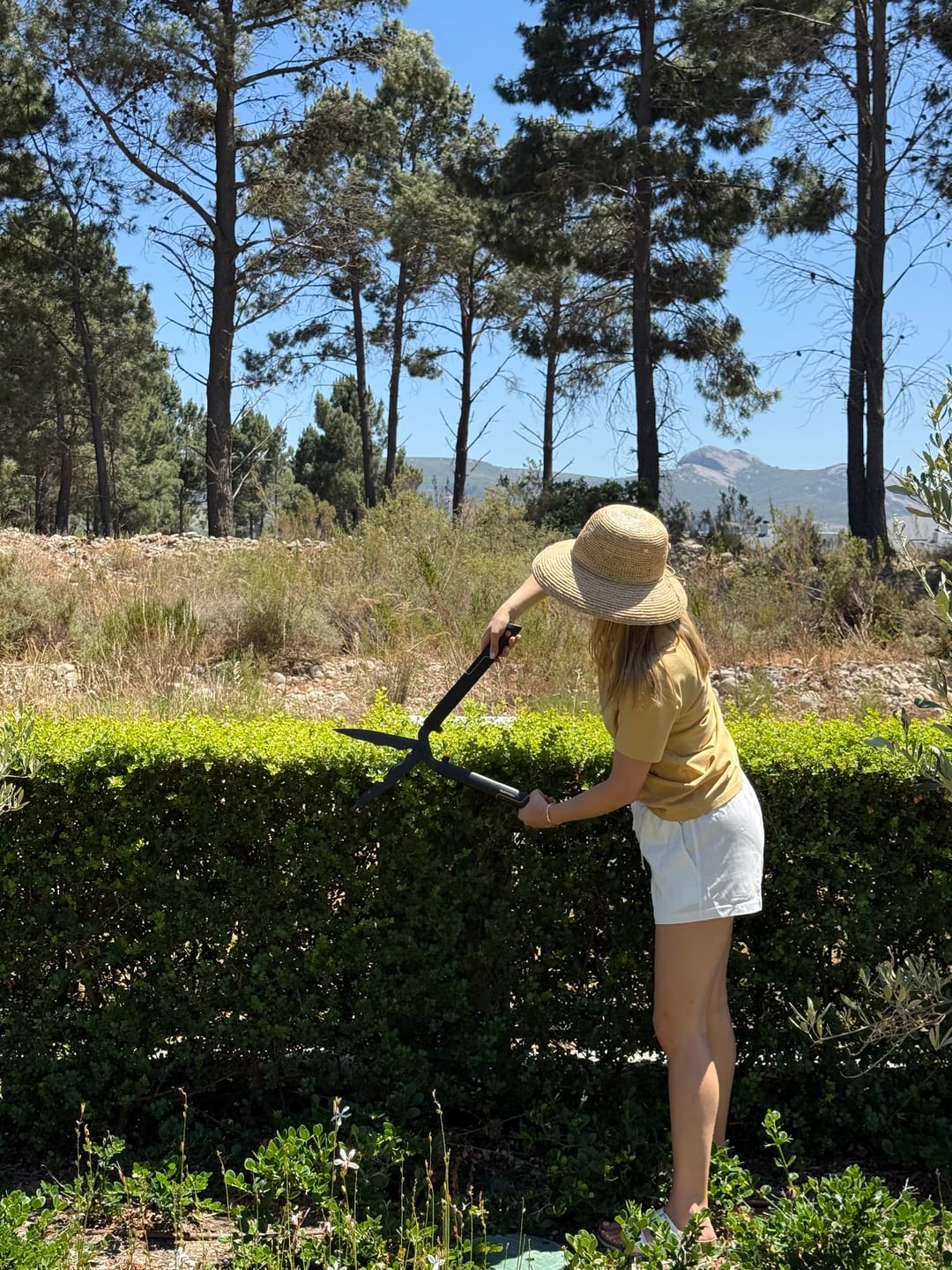 Customer photo review of SingleStep™ Hedge Shears Wavy Blade (HS22)