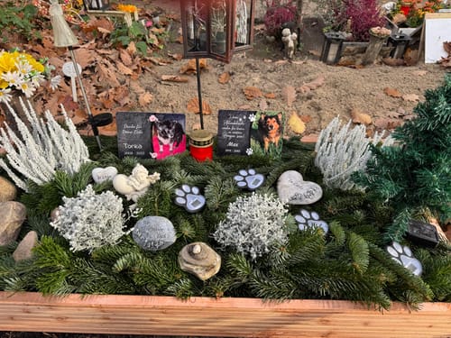 Customer photo review of Hunde Gedenktafel mit Foto & Spruch (UV- &  Wetterfest)