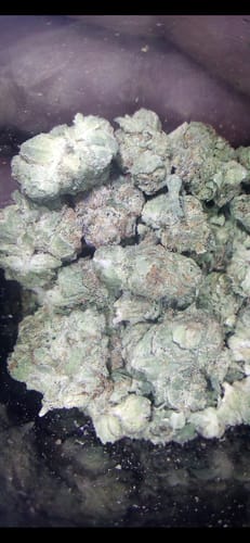 Customer photo review of Double Cake Minis - Bulk Minis - Hybrid