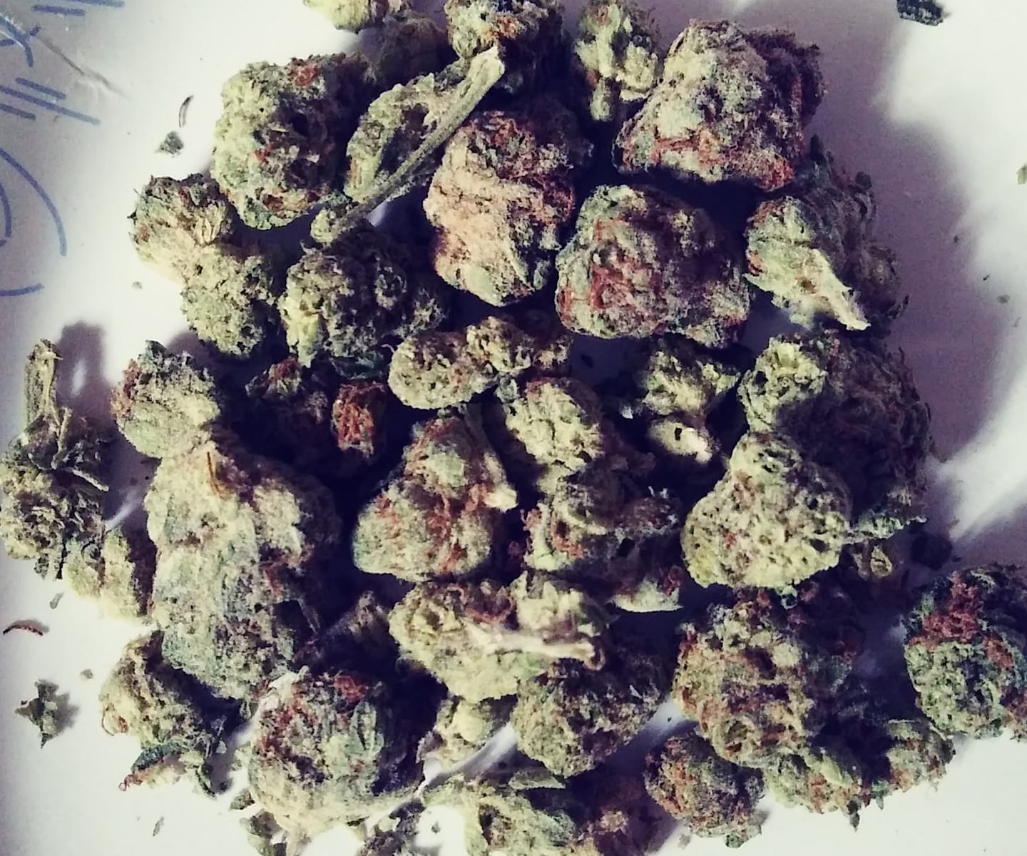Customer photo review of Panama Red - Exotic Smalls