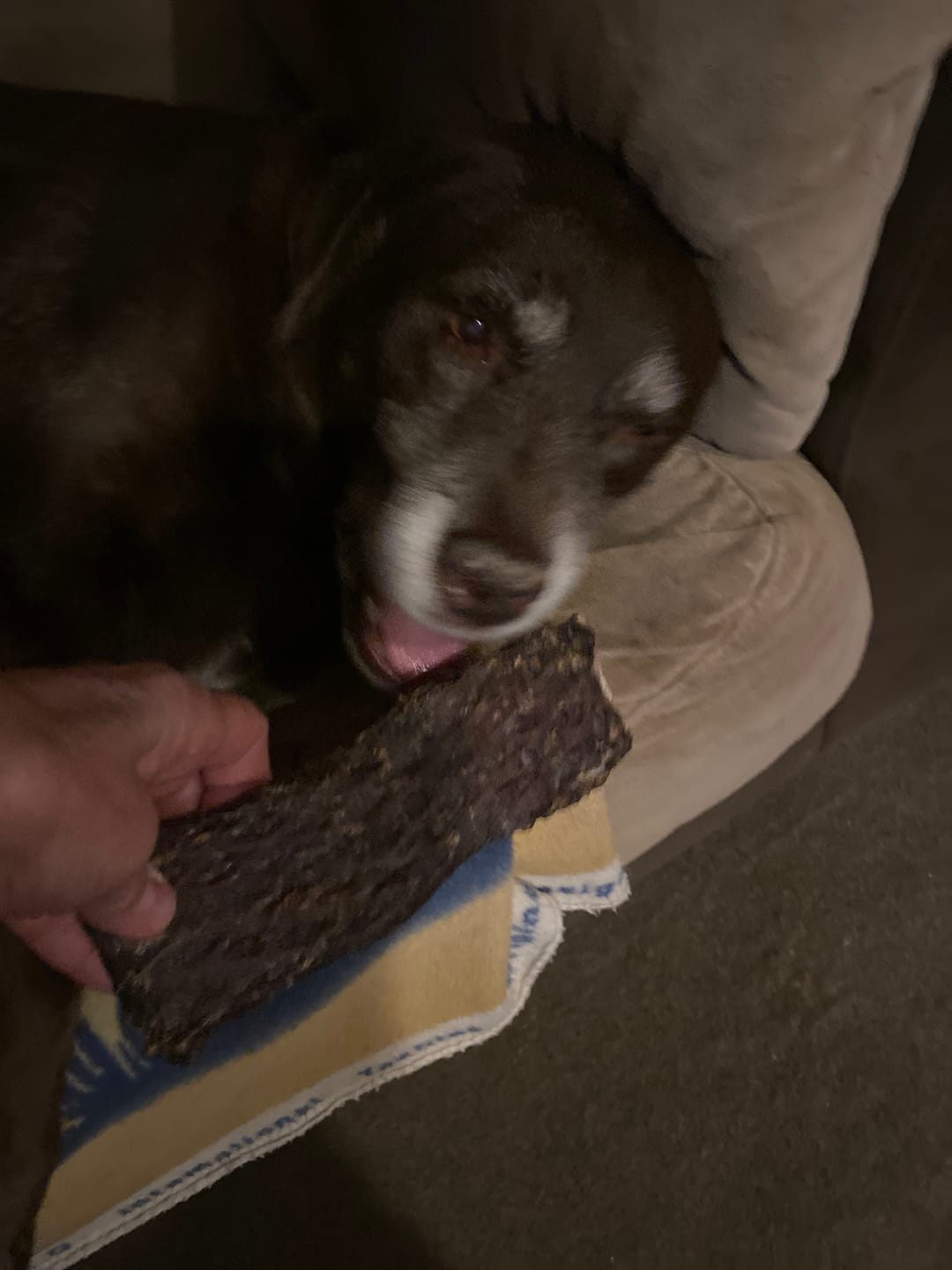 Customer photo review of 6 Inch Beef Jerky Strip