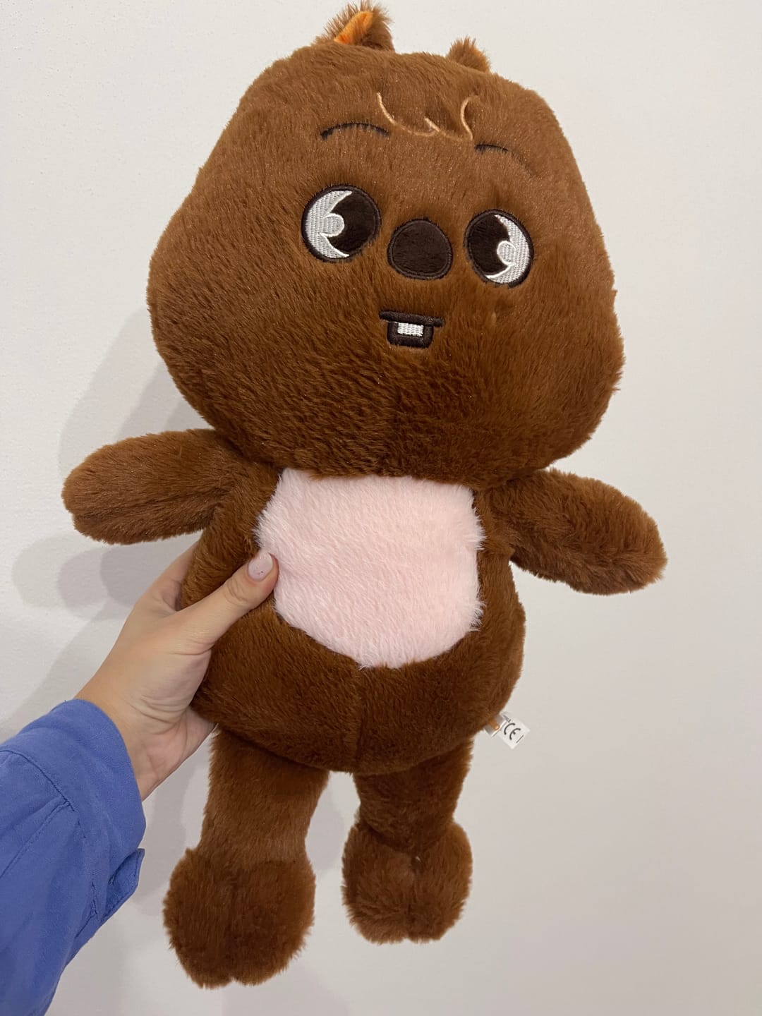 Customer photo review of SKZ Teddybear Plush