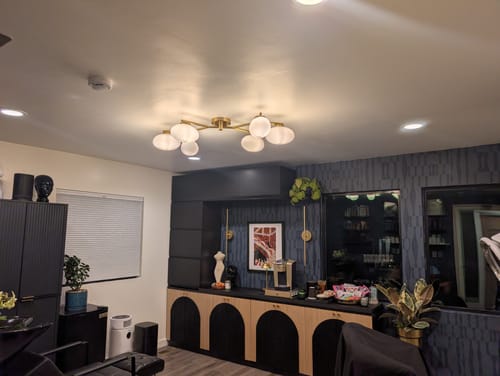 Customer photo review of 6-Light Modern Etched Oval Glass Branch Semi-Flush Mount