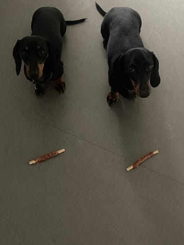 Customer photo review of Dogman - Tyggepinde m. Kylling, 4 stk. - Medium
