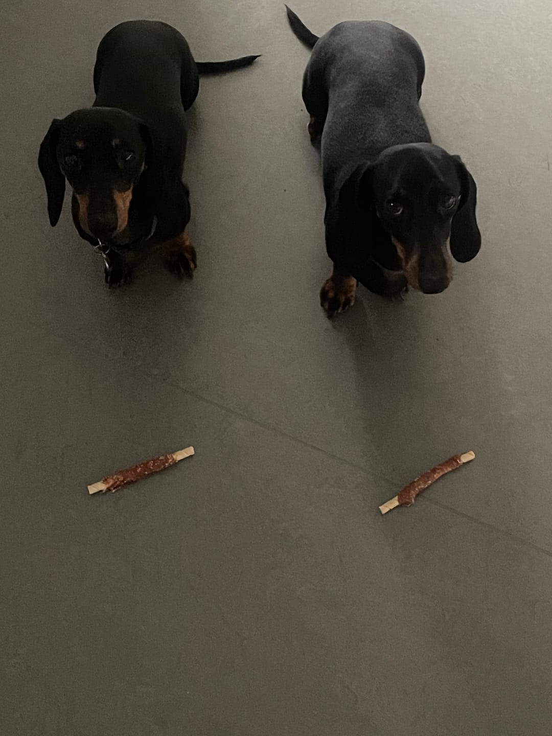 Customer photo review of Dogman - Tyggepinde m. Kylling, 4 stk. - Medium