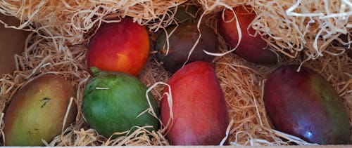 Customer photo review of Baby-Mango Mix "Wild Wonders" Sonderaktion % 3kg
