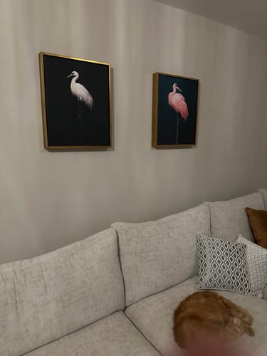 Customer photo review of Midnight Crane No2 Print