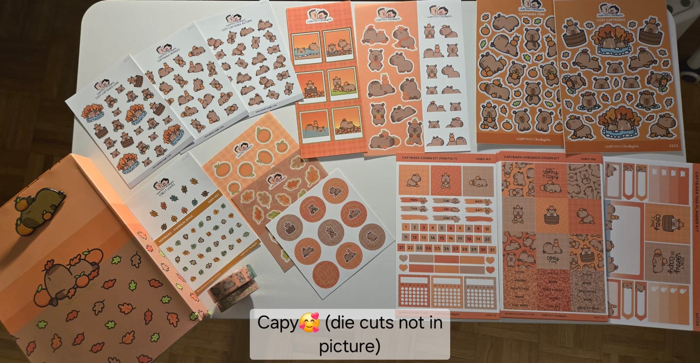 Customer photo review of Autumn Capybaras Theme Hobonichi Cousin Weekly Kit (Set of 3)