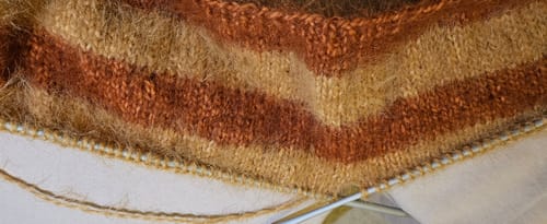 Customer photo review of Gazzal Teddy