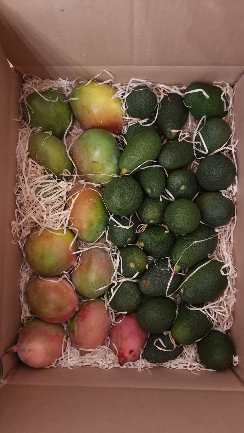 Customer photo review of Mini Mango & Avocado Rettungsaktion %