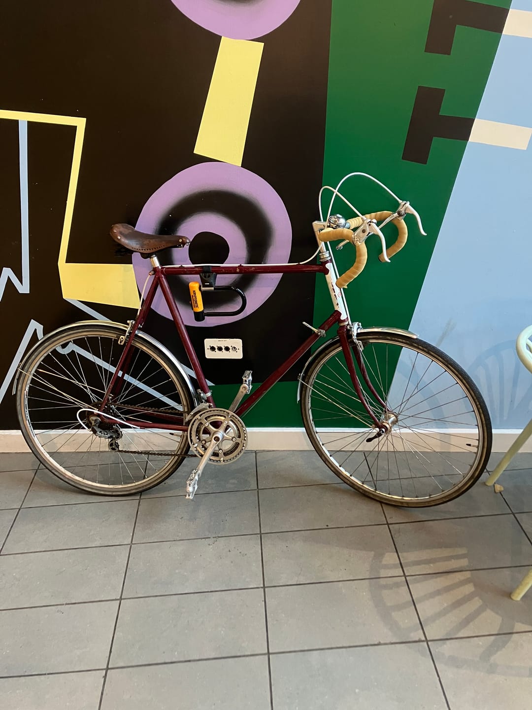 Customer photo review of Temple Alloy Mudguards