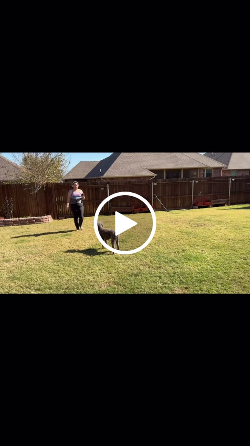 Customer video review of The Hatch Belt™