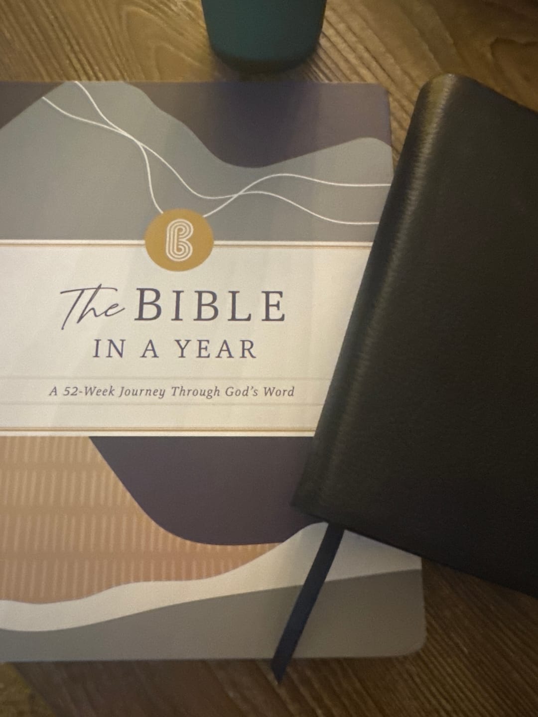 Customer photo review of The Bible In A Year: A 52-Week Journey Through God's Word