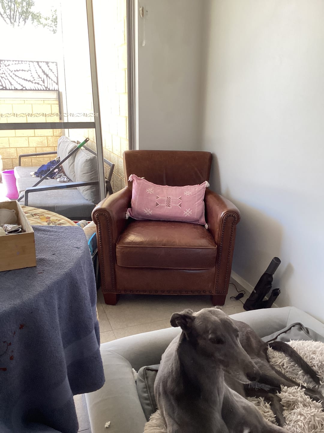 Customer photo review of Soft Pink cactus silk | Lumbar