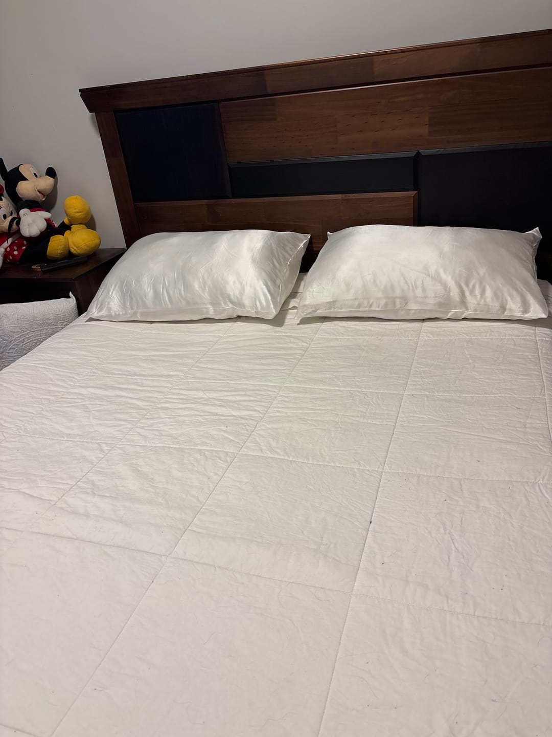 Customer photo review of PACK 2 FUNDAS ALMOHADAS SEDA NATURAL BLANCO