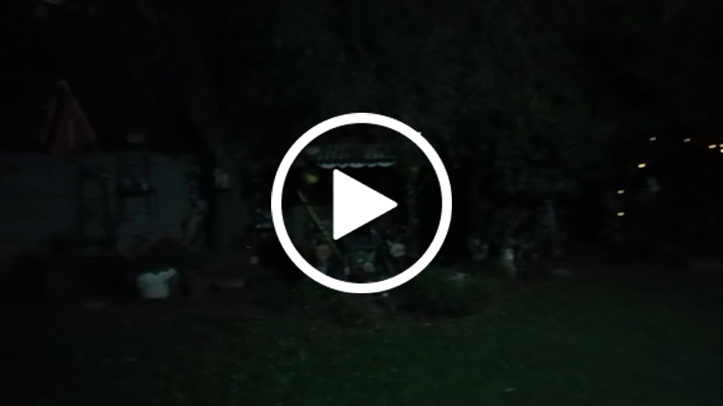 Customer video review of Plug-In Festoon Bulb String Lights